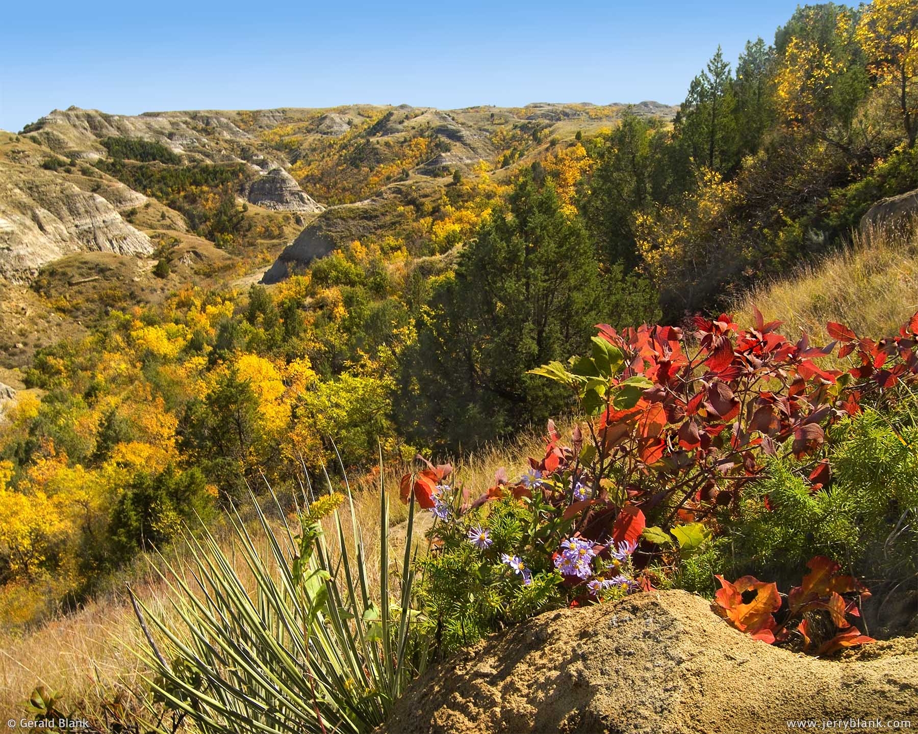 #00008 - Autumn colors fill Cedar Coulee in northern Dunn County, North Dakota - photo by Jerry Blank