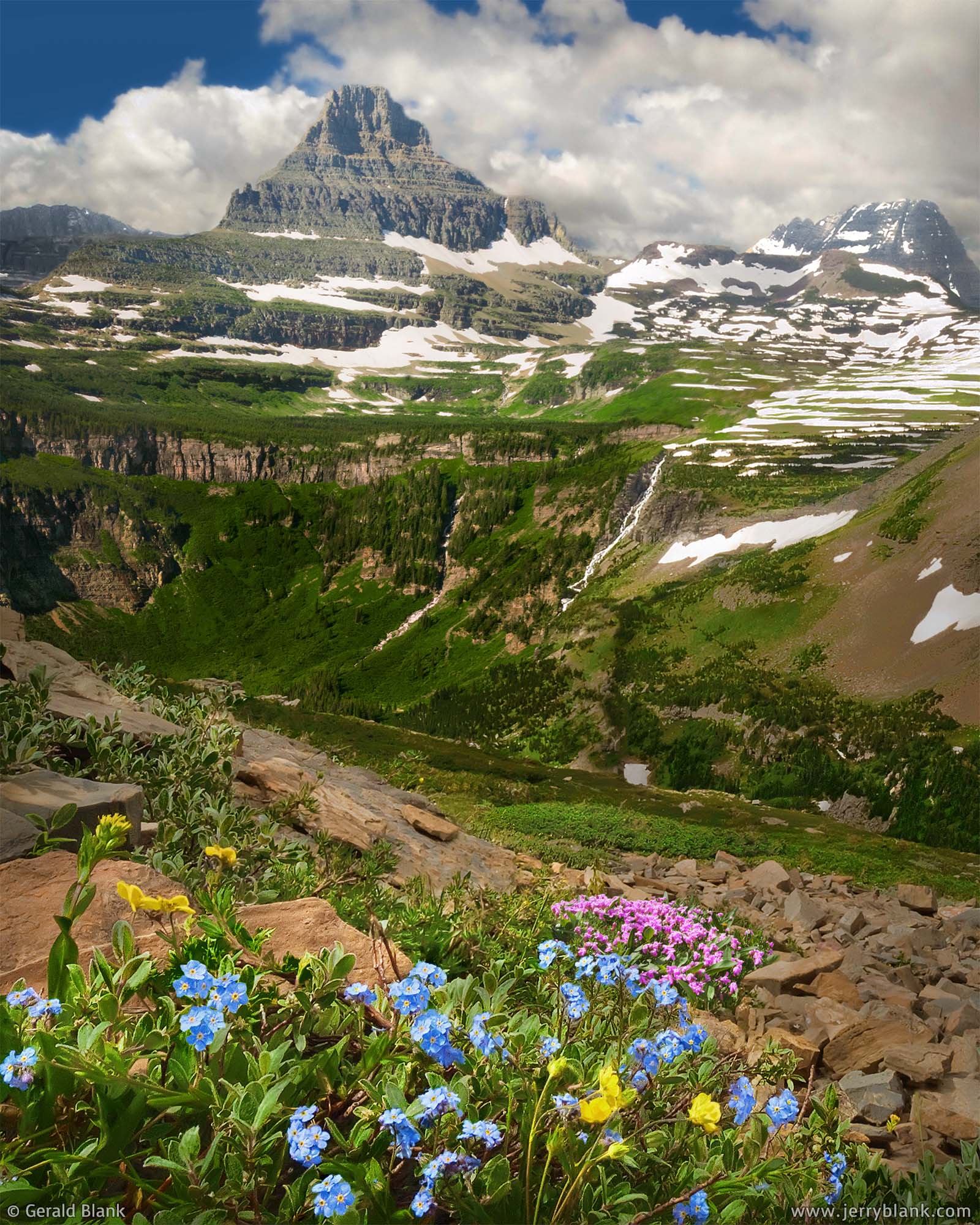 #00042 - A view toward Reynolds Mountain and the Continental Divide, alpine wildflowers spring to life on the southwest slope of Piegan Mountain in Glacier National Park, Montana - photo by Jerry Blank