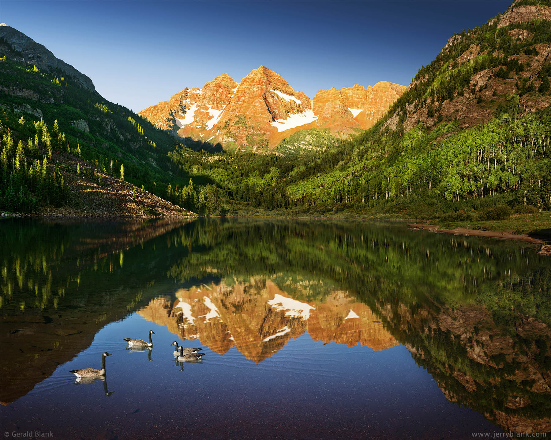 #23409 - Canada geese visit Maroon Lake, Colorado just after daybreak, as the Maroon Bells glow in the morning light - photo by Jerry Blank