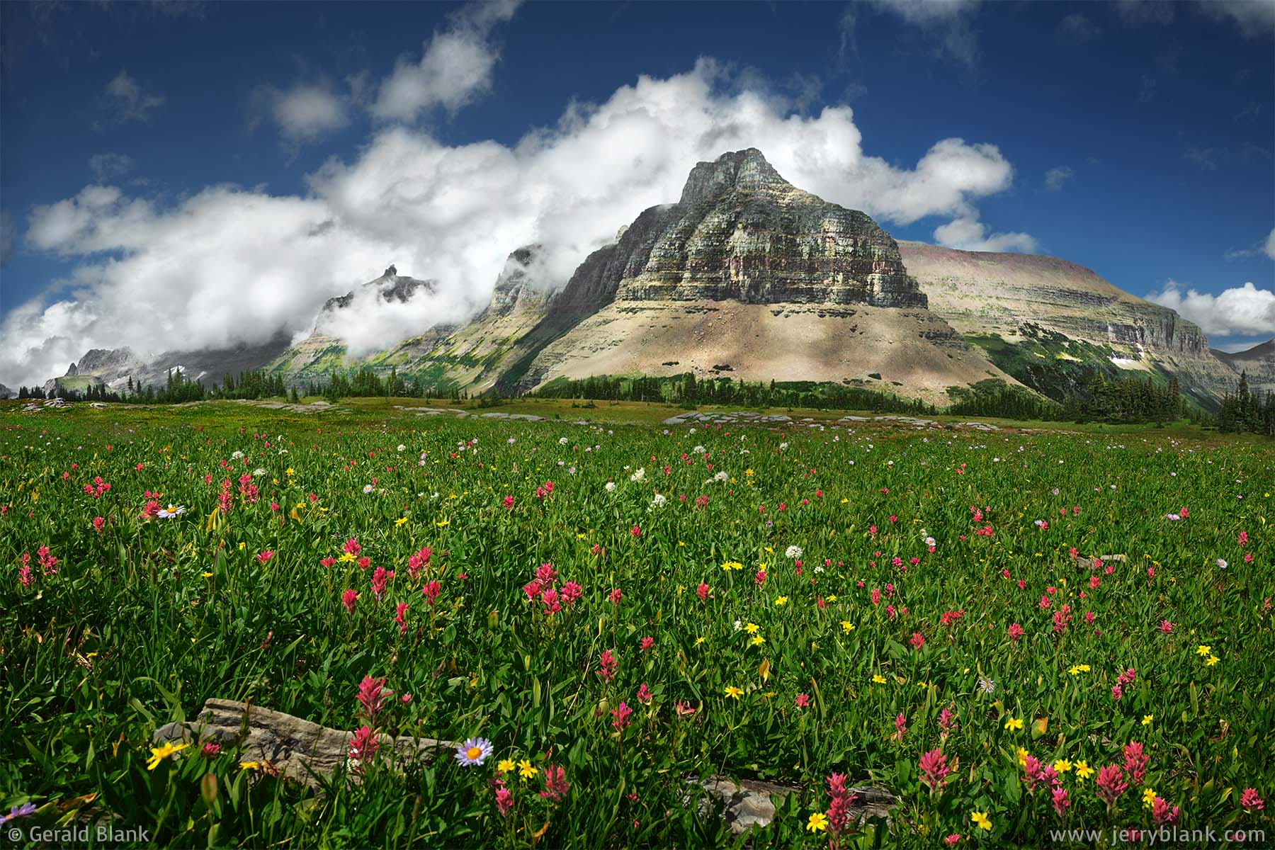 #24533 - A north view toward Bishop’s Cap, the Garden Wall, the south ridge of Pollock Mountain, and the east ridge of Piegan Mountain, from an alpine meadow filled with arnica and scarlet paintbrush, in Glacier National Park, Montana - photo by Jerry Blank