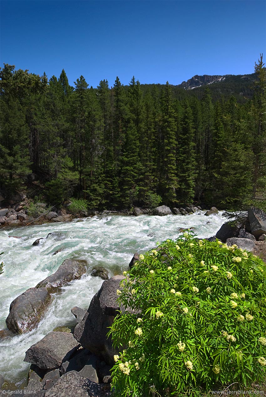 #08298 - Whitewater on the upper Boulder River, Absaroka Mountains, Montana - photo by Jerry Blank