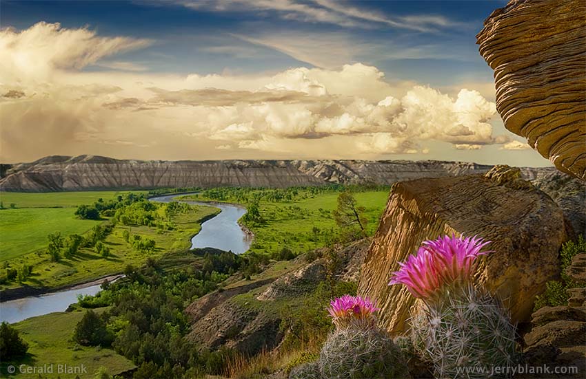 Purple pincushion cactus and sandstone formation overlooking the Little Missouri River, North Dakota - photo by Jerry Blank