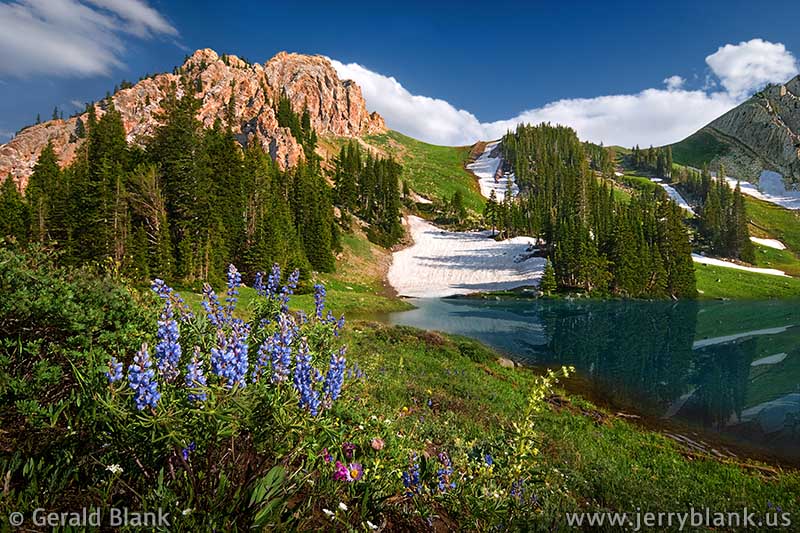 #05453 - Lupines and other subalpine wildflowers near the shore of Frazier Lake, Bridger Mountains, Montana - photo by Jerry Blank
