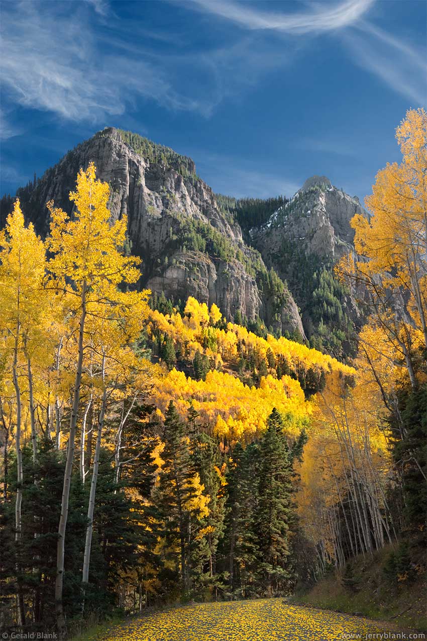 #06883 - Autumn aspen leaves decorate Canyon Creek Road in the Uncompahgre National Forest, in Colorado’s San Juan Mountains. Overshadowing the canyon is the north ridge of Hayden Mountain - photo by Jerry Blank